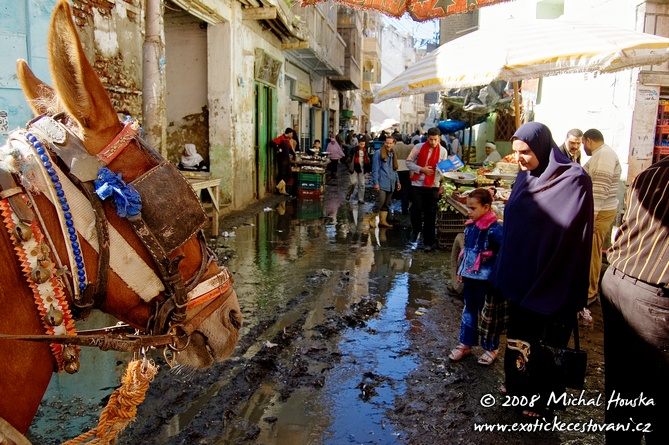 08 Egypt oazy Rosetta Rashid s konem na trhu.jpg