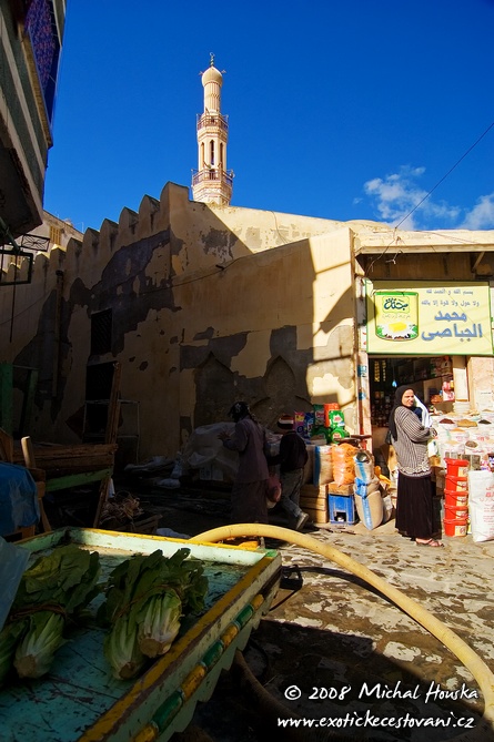 12 Egypt oazy Rosetta Rashid ulice.jpg